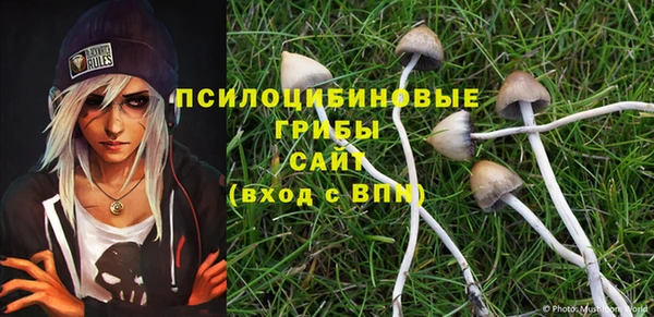 apvp Балабаново