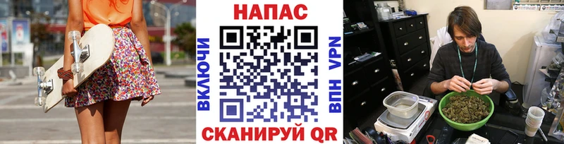Бошки Шишки семена  наркошоп  Жуков 